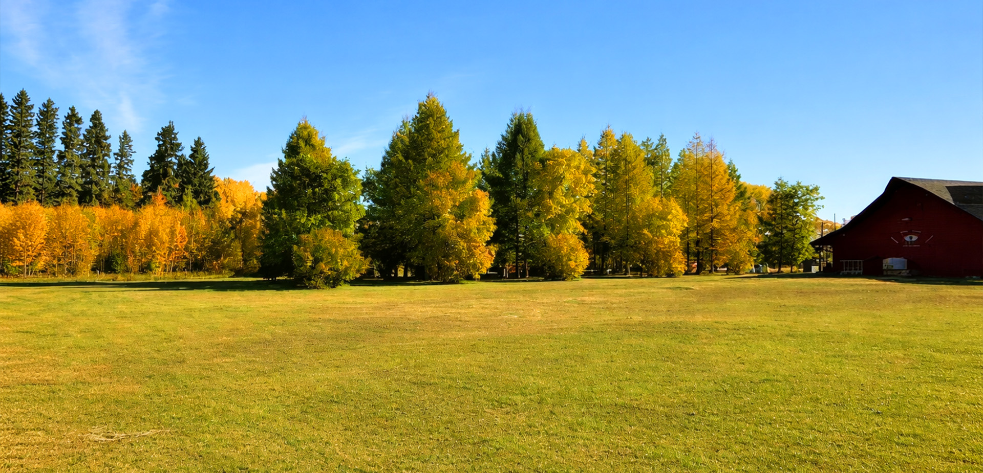 Campground View